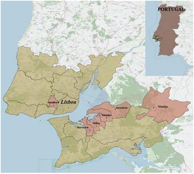 Have immigrant children been left behind in COVID-19 testing rates? – A quantitative study in the Lisbon metropolitan area between march 2020 and may 2023
